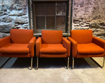 Orange Mid-Century Modern Dining Chairs, Cantilever Faux Gold Frame (Set of 3)