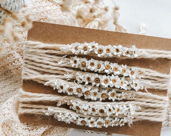Little daisy rustic boho tieback - Newborn photography prop headbands