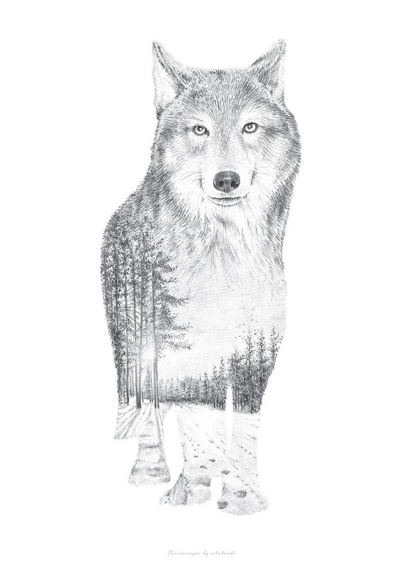 Wolf Pencil Drawing Faunascapes By Whatwedo Etsy