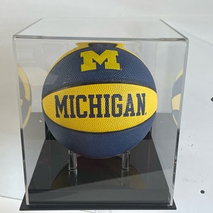 MINI Basketball Case with Wall Mount Base