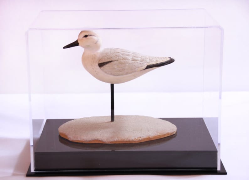 May include: A white and gray bird figurine standing on a sandy base inside a clear acrylic display case.