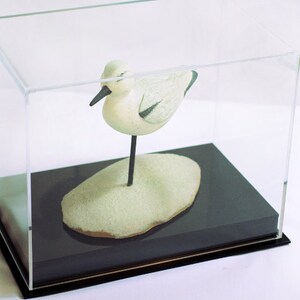 K&ouml;nnte beinhalten: Eine wei&szlig;e Keramik-Vogelskulptur mit schwarzen Akzenten, die auf einer kleinen, wei&szlig;en, ovalen Basis sitzt. Die Skulptur wird in einer durchsichtigen Acryl-Vitrine mit schwarzem Sockel ausgestellt.