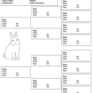 Editable Rabbit Pedigree