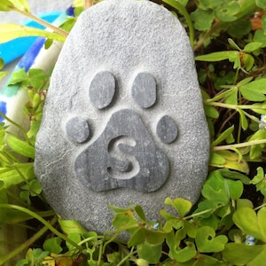 May include: A gray stone with a carved paw print and the letter 'S' inside the print. The stone is surrounded by green plants and small blue flowers.