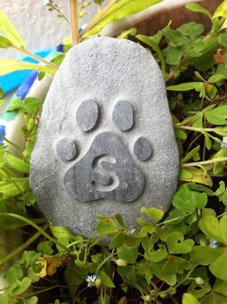 May include: A gray stone with a carved paw print and the letter 'S' inside the print. The stone is surrounded by green plants and small blue flowers.