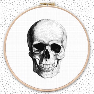 ANATOMICAL SKULL cross stitch pattern - modern black and white embroidery - human head anatomy xstitch design pdf for instant download