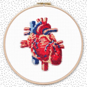 Cross stitch pattern . HUMAN HEART . anatomical drawing embroidery pattern . realistic xstitch chart . nerdy crossstich pattern image 1