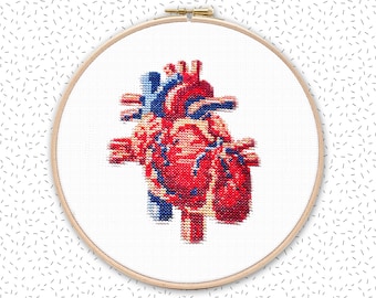 Cross stitch pattern . HUMAN HEART . anatomical drawing embroidery pattern . realistic xstitch chart . nerdy crossstich pattern