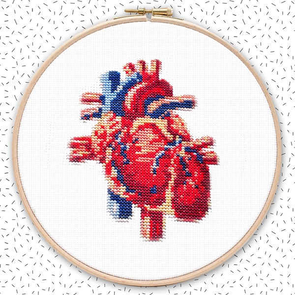 Cross stitch pattern . HUMAN HEART . anatomical drawing embroidery pattern . realistic xstitch chart . nerdy crossstich pattern