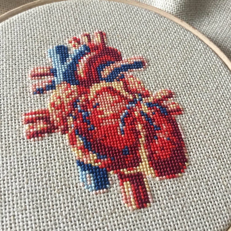 Cross stitch pattern . HUMAN HEART . anatomical drawing embroidery pattern . realistic xstitch chart . nerdy crossstich pattern image 4