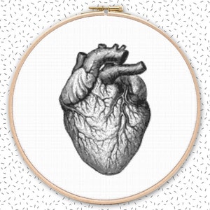 VINTAGE HEART cross stitch pattern in 2 sizes - large black and white embroidery - anatomical human heart anatomy xstitch design