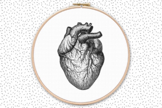 Menschliches Herz Kreuzstich Stickmuster Anatomische Vorlage Etsy