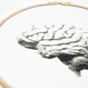 May include: A black and white cross-stitch embroidery of a human brain on white fabric in a wooden embroidery hoop.