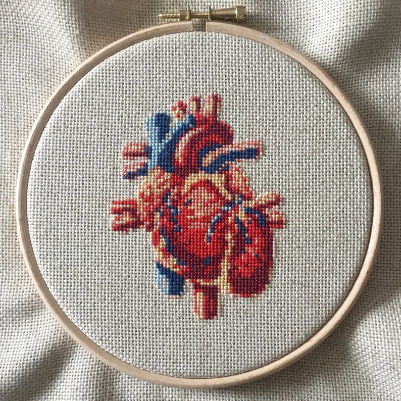 Cross stitch pattern . HUMAN HEART . anatomical drawing embroidery pattern . realistic xstitch chart . nerdy crossstich pattern image 5