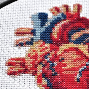 May include: Close-up of a red, blue and yellow cross-stitch embroidery of a heart.