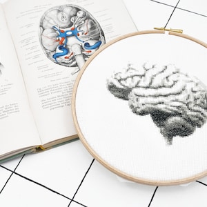 以下が含まれることがあります： 木製の刺繍枠に、人間の脳の白黒のクロスステッチ刺繍が施されています。脳は詳細でリアルです。