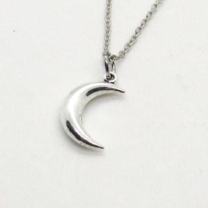 Puede incluir: Un collar con un colgante de media luna de plata en una cadena de plata.