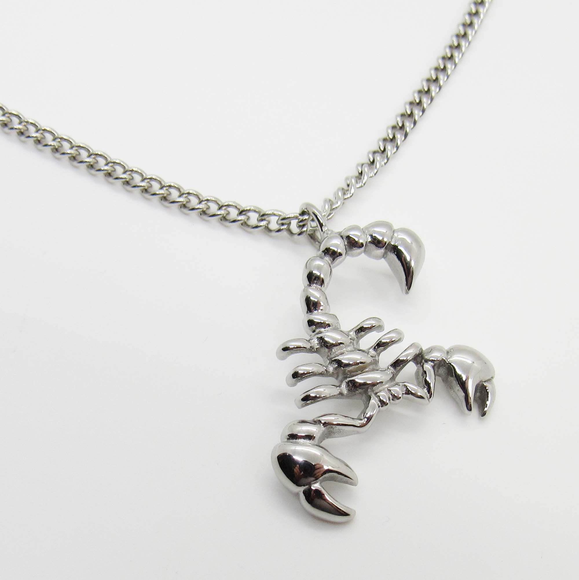 Stainless Steel Scorpion Pendant Necklace Men s Necklace Desert Life Pendant Men s Jewelry Scorpion Jewelry Woman s Necklace Etsy