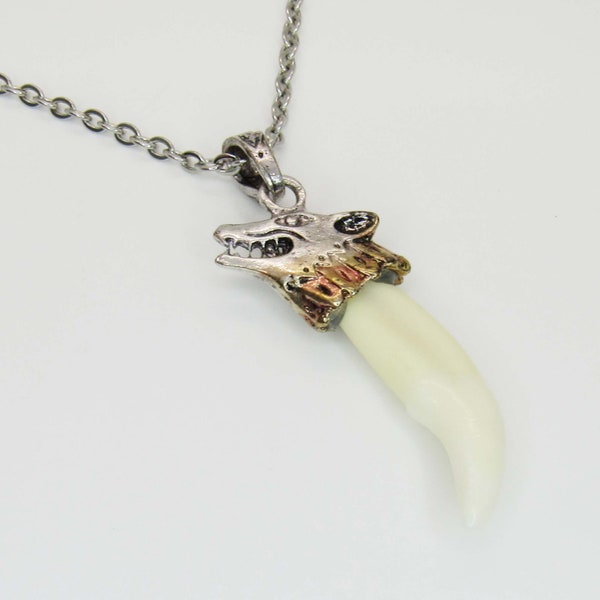 Real Wolf Tooth Necklace Etsy