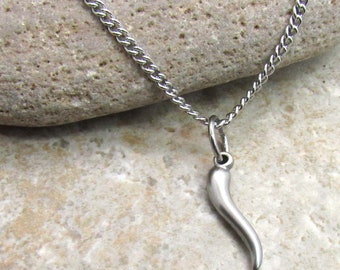 Stainless Steel Chili Pepper Charm Pendant Necklace, Men's Necklace, Hypo Allergenic Jewelry, Woman's Necklace, Men's Charm Pendant Jewelry