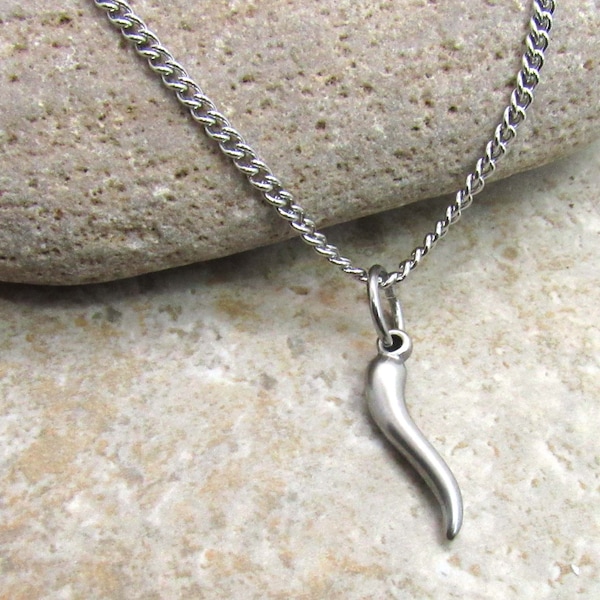 Stainless Steel Chili Pepper Charm Pendant Necklace, Men's Necklace, Hypo Allergenic Jewelry, Woman's Necklace, Men's Charm Pendant Jewelry