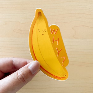 Why Banana Waterproof Vinyl Sticker image 1