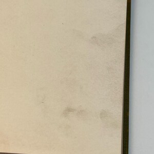 Puede incluir: Primer plano del interior de la cubierta de un libro con una p&aacute;gina de color crema y un lomo verde. La p&aacute;gina tiene algunas manchas marrones tenues.