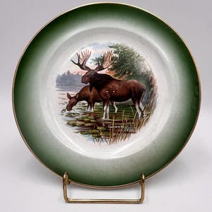 May include: A white ceramic plate with a green rim and a gold trim. The plate features a painted image of two moose standing in a lake with lily pads. The background is a green forest.