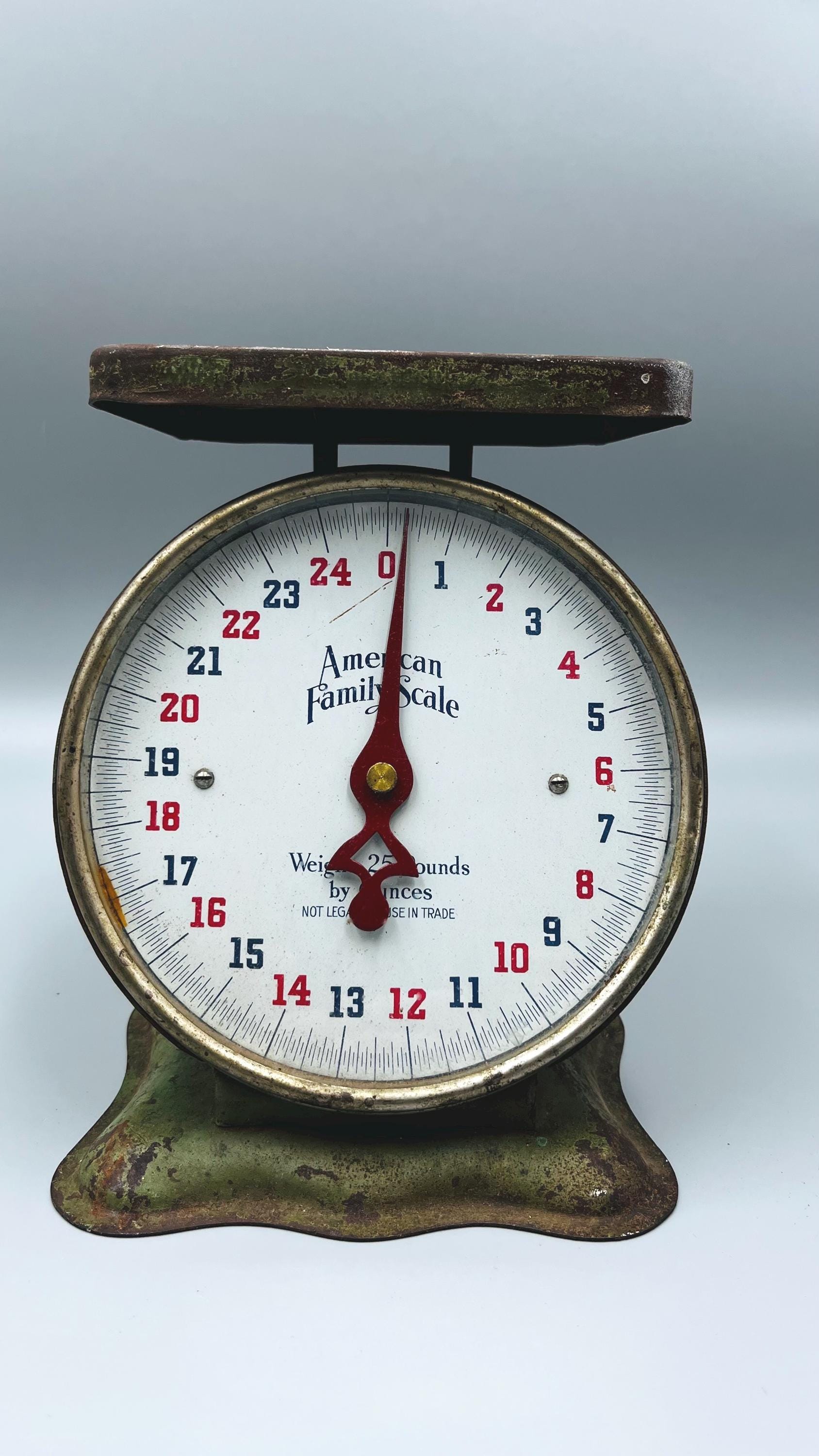 Metal Scale American Family - Etsy