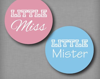 Gender Reveal Ideas Party Stickers Little Miss and Little Mister Pink and Blue Voting Labels