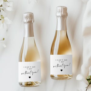 Bridesmaid Proposal Gift -  Bridesmaid Mini Champagne Label, Bridesmaid Gift, Maid of Honor Gift, Wedding Party Gift, Bridal Party MC103