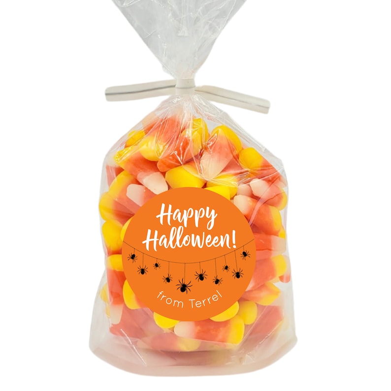 May include: A clear plastic bag filled with orange and yellow candy corn. A round orange sticker with black text reads "Happy Halloween!" and "from Terrel" with a string of black spiders hanging from it.