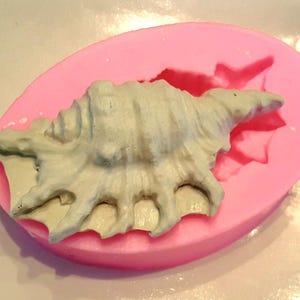 May include: A light grey seashell-shaped object sits on a pink, oval-shaped mould. The seashell has detailed ridges and a textured surface. The mould has a star-shaped design on the inside. The background is a light, neutral colour.