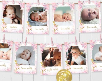May include: A set of 10 pink and gold photo cards with floral designs and a ballerina illustration. Each card has a different month written on it, from newborn to ten months. The cards are strung together with pink clothespins.