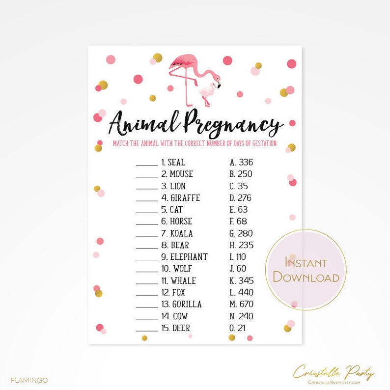 Flamingo Animal Pregnancy Quiz baby shower printable game | Etsy