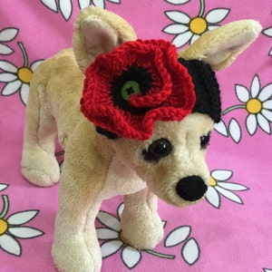Hand-Knit Small Dog Headband: band with Poppy Flower, XS-S-XXS Sizes