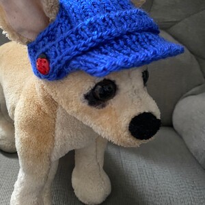 May include: A small, light brown stuffed dog wearing a blue knitted hat with a red ladybug button. The dog is sitting on a gray couch.