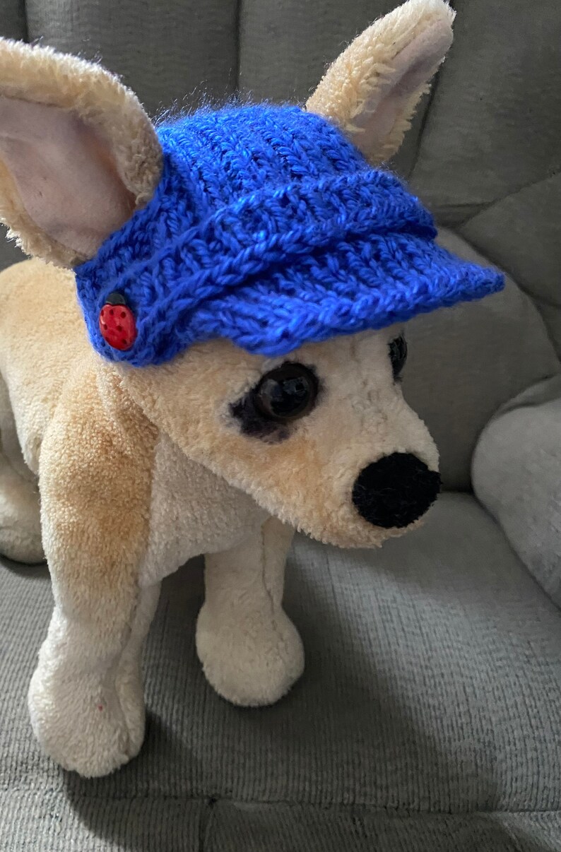 May include: A small, light brown stuffed dog wearing a blue knitted hat with a red ladybug button. The dog is sitting on a gray couch.