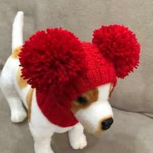 Hand-Knit Dog Hat with Pom Poms: Winter Pet Apparel , Nice Gift