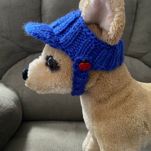 May include: A blue knitted baseball cap with a red button on the side, worn by a stuffed dog.