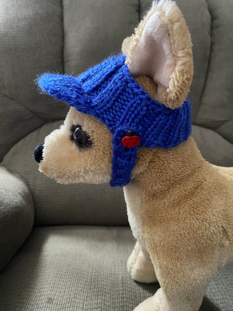 May include: A blue knitted baseball cap with a red button on the side, worn by a stuffed dog.
