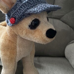 May include: A small, light brown plush dog wearing a blue crocheted hat with a red button. The dog is sitting on a gray couch.