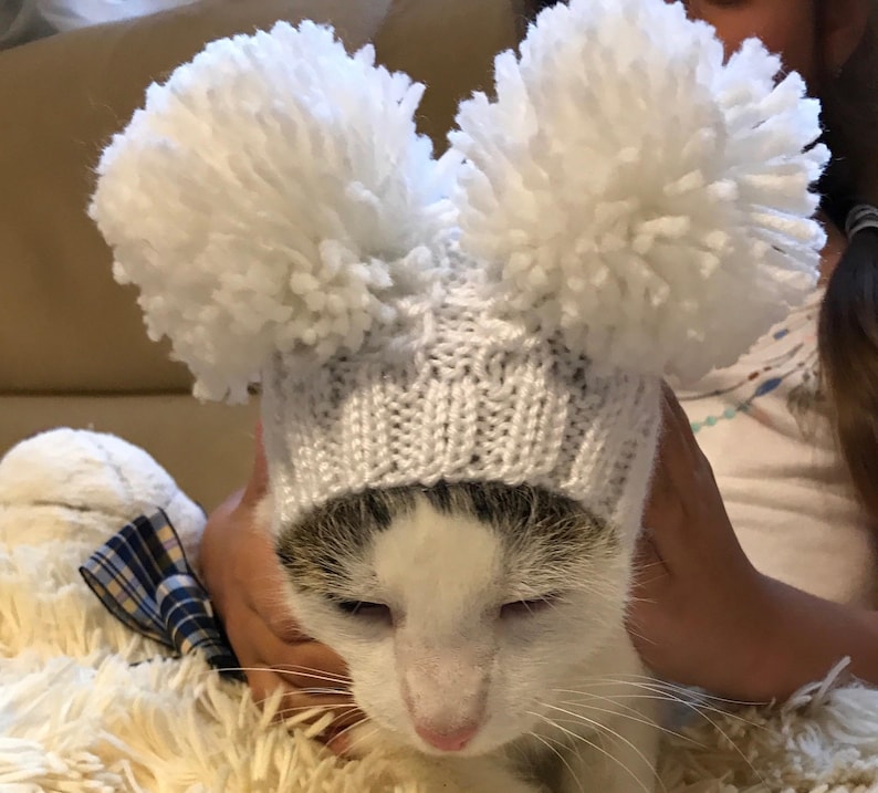 Pet Clothes Apparel Winter Snow Hat Pullover Hoodie Hat with Etsy