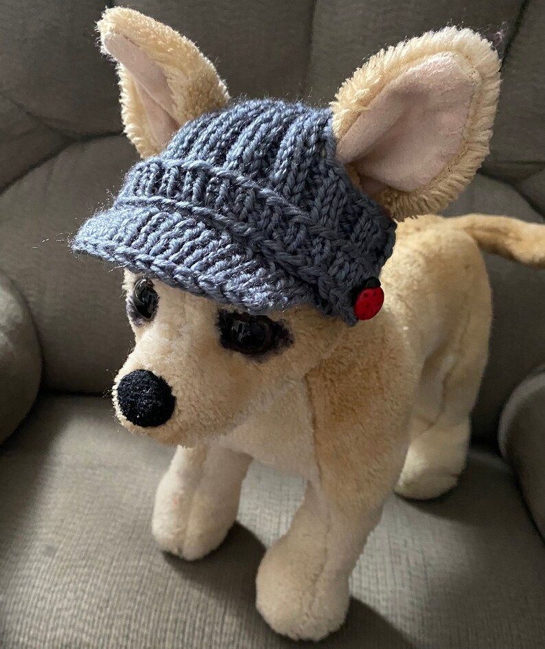 May include: A plush toy dog wearing a gray knitted hat with a brim. The hat has a red button on the side.