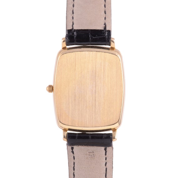 patek rare belt