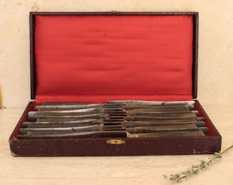 A Set of 12 Antique Bone Handled Knives~ French Knives ~ Horn Handled Knife ~ Decorative Vintage French Tableware  ~ Original Box
