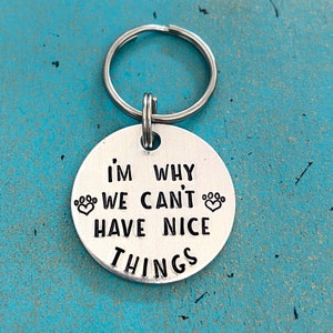 Personalized Im Why We Can’t Have Nice Things Pet ID Tag, Custom Funny Pet Identification Tag, Customizable Dog Tag, Humorous Dog Tag