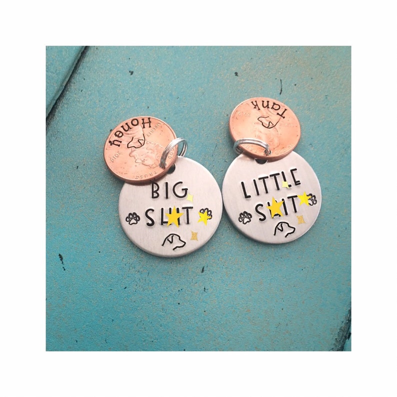 Personalized Pet ID Tag Set Custom Funny Pet Penny Etsy