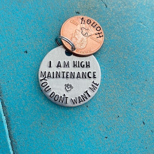 Funny Dog ID Tag, I Am High Maintenance You Dont Want Me Personalized Penny Pet ID Tag, Custom Funny Pet Identification Tag, Customizable