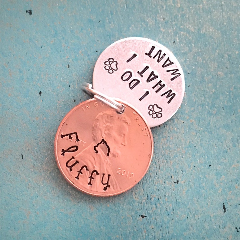 Funny Cat Tag Small Personalized Penny Pet ID Tag Custom Cat Etsy